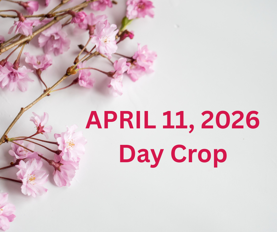 April 11, 2026 "No Frills" Day Crop Deposit
