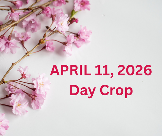 April 11, 2026 "No Frills" Day Crop Deposit